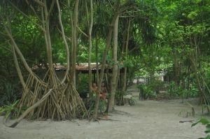 maya bay thailanda obiective turistice
