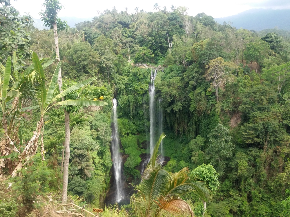 cascada sekumpul bali indonezia obiective turistice junglă