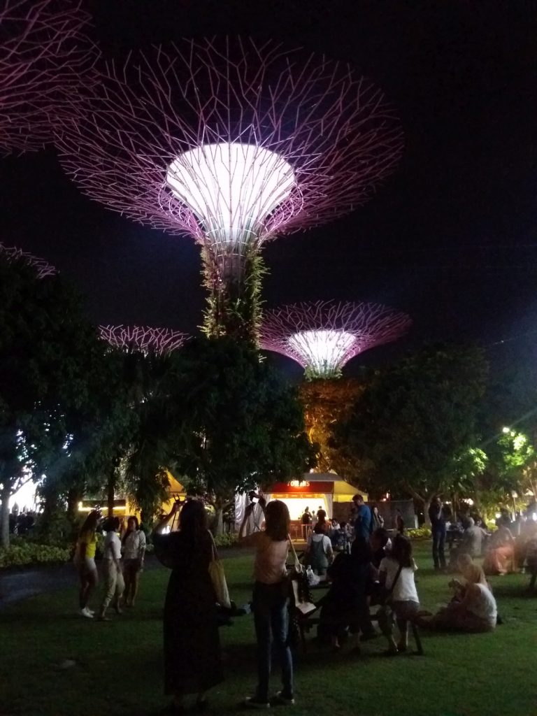 obiective turistice singapore grădina golf marina bay gardens by the bay show lumini