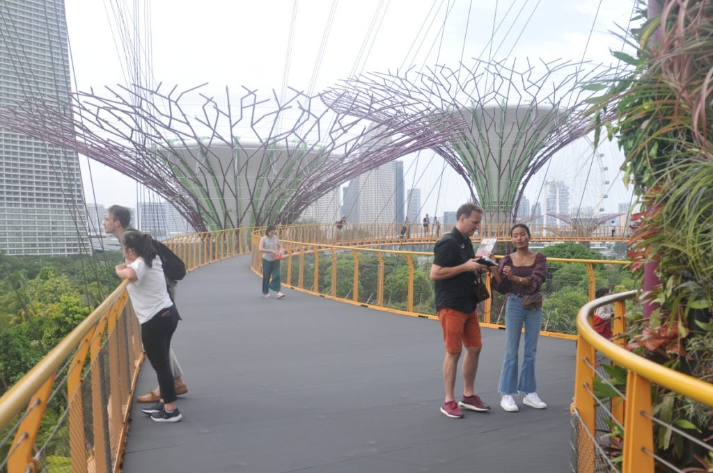 obiective turistice singapore grădina golf marina bay gardens by the bay