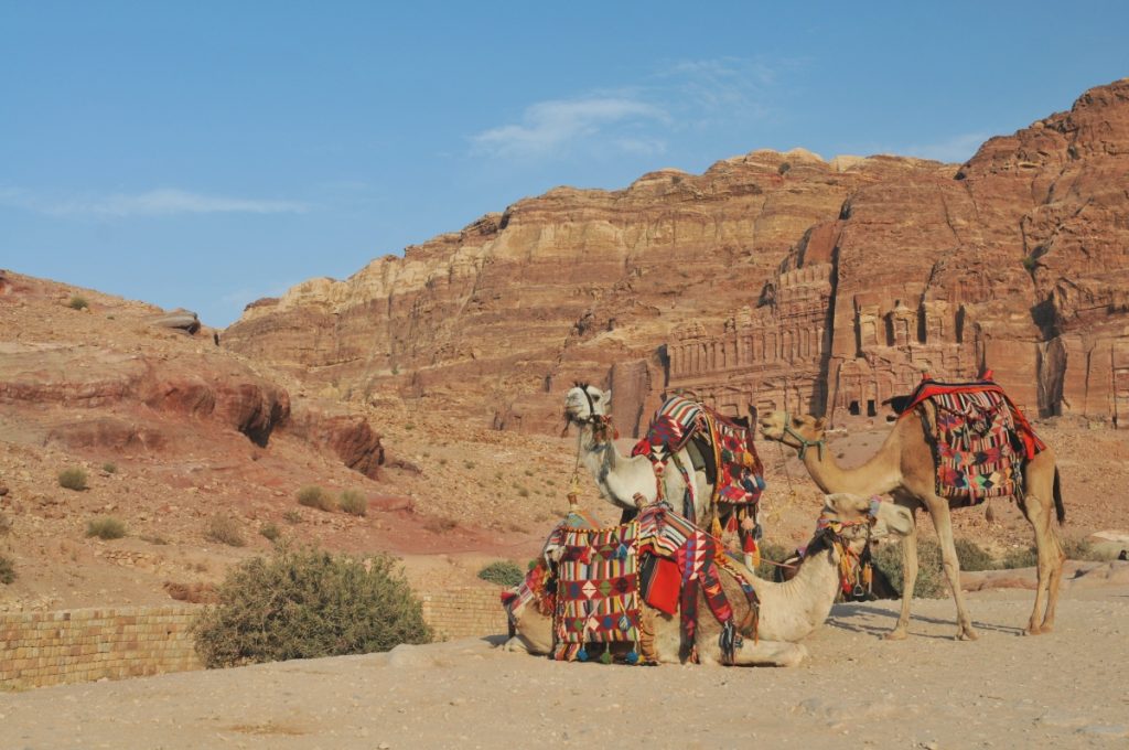 petra obiective turistice iordania cămile