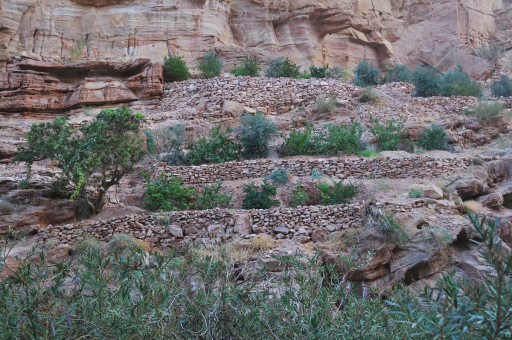 petra obiective turistice iordania verdeață culturi
