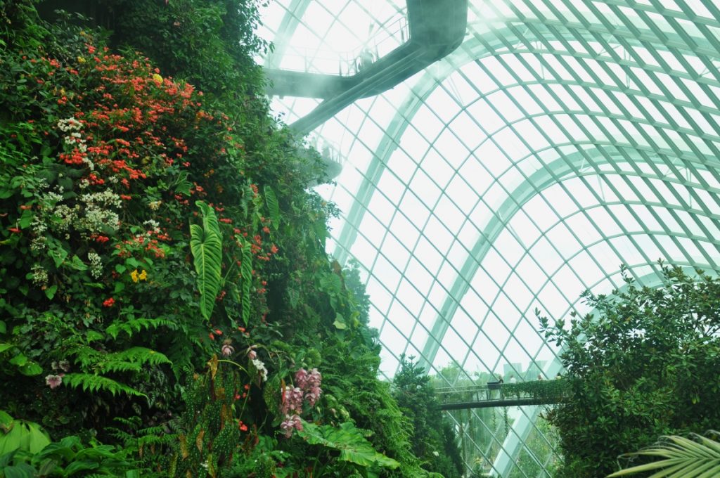 obiective turistice singapore marina bay cloud forest