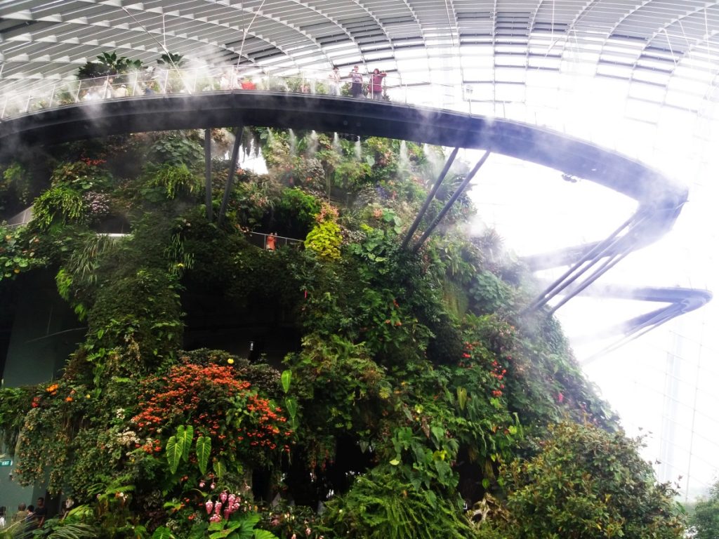 obiective turistice singapore marina bay cloud forest