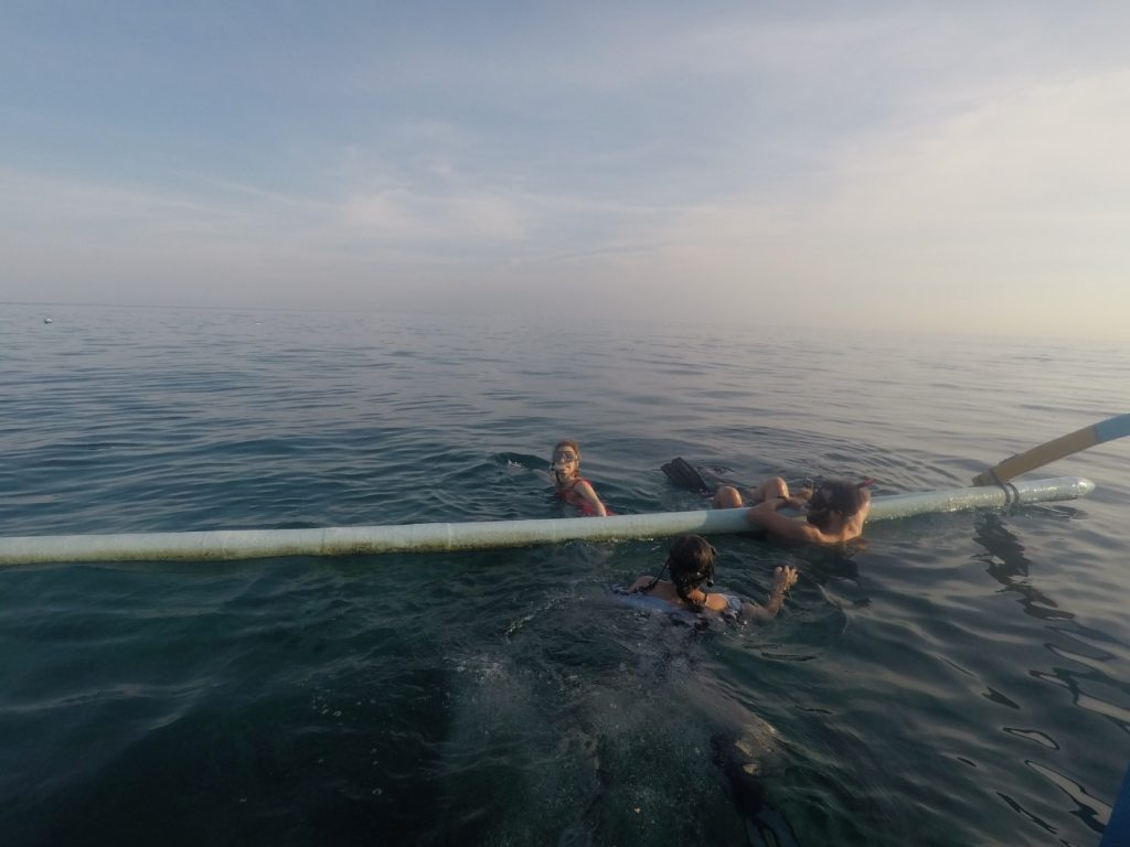 plaje bali indonezia lovina delfini