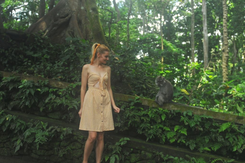pădurea maimuțelor ubud obiective turistice bali indonezia