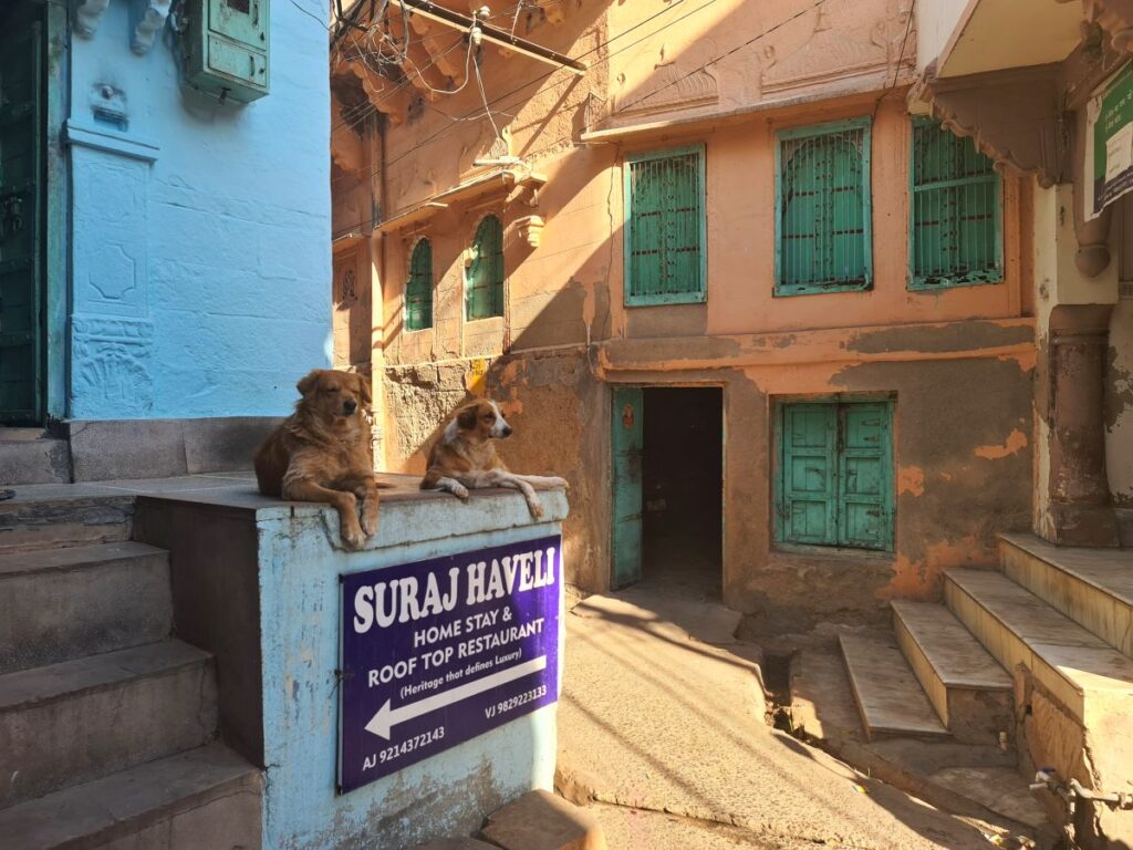 suraj haveli cazare jodhpur india